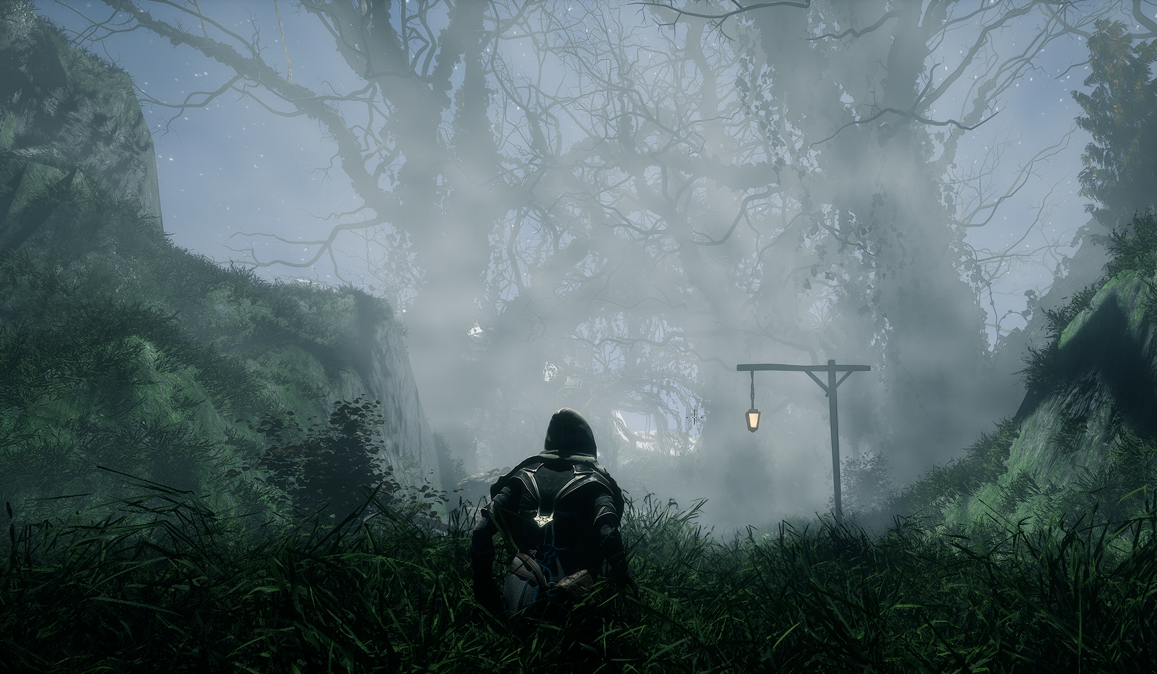 Bosque oscuro y cubierto de niebla